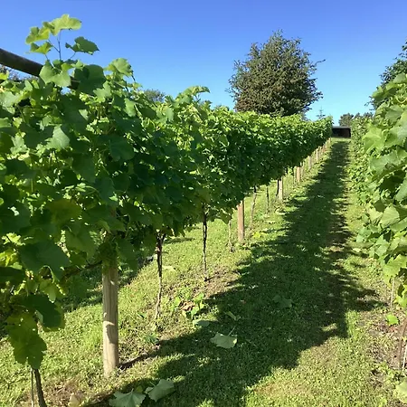 Apartamento Til 2 Personer *